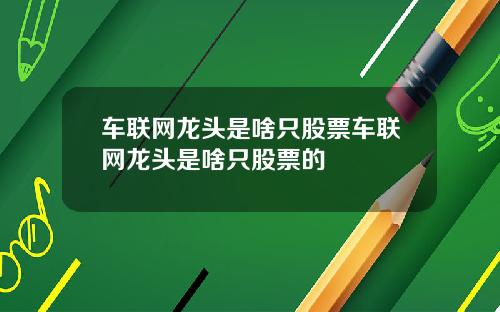 车联网龙头是啥只股票车联网龙头是啥只股票的