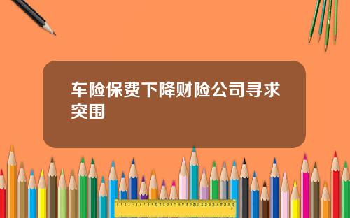 车险保费下降财险公司寻求突围