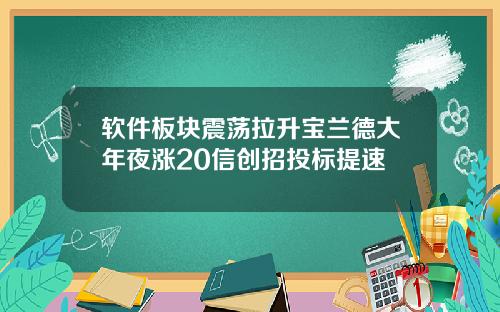 软件板块震荡拉升宝兰德大年夜涨20信创招投标提速