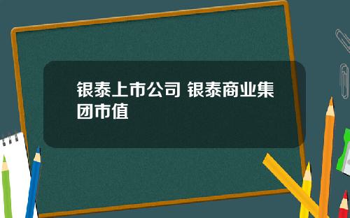 银泰上市公司 银泰商业集团市值