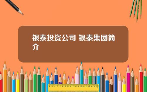 银泰投资公司 银泰集团简介