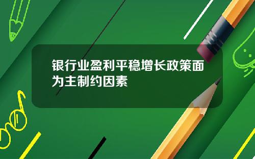 银行业盈利平稳增长政策面为主制约因素