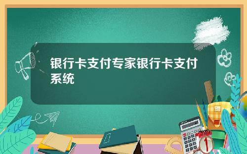 银行卡支付专家银行卡支付系统