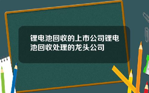 锂电池回收的上市公司锂电池回收处理的龙头公司