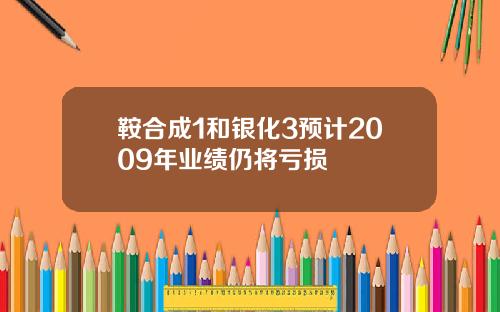 鞍合成1和银化3预计2009年业绩仍将亏损