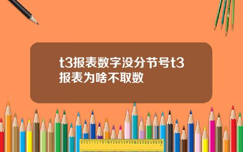 t3报表数字没分节号t3报表为啥不取数