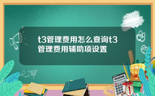 t3管理费用怎么查询t3管理费用辅助项设置