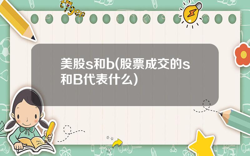 美股s和b(股票成交的s和B代表什么)