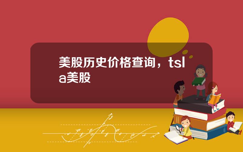 美股历史价格查询，tsla美股