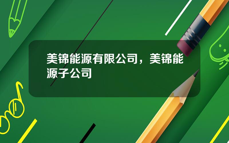 美锦能源有限公司，美锦能源子公司