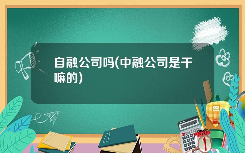 自融公司吗(中融公司是干嘛的)