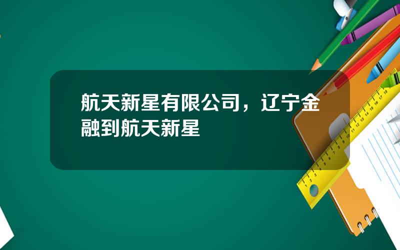 航天新星有限公司，辽宁金融到航天新星