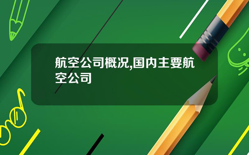 航空公司概况,国内主要航空公司