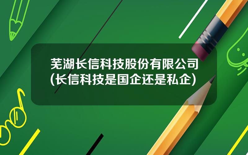 芜湖长信科技股份有限公司(长信科技是国企还是私企)