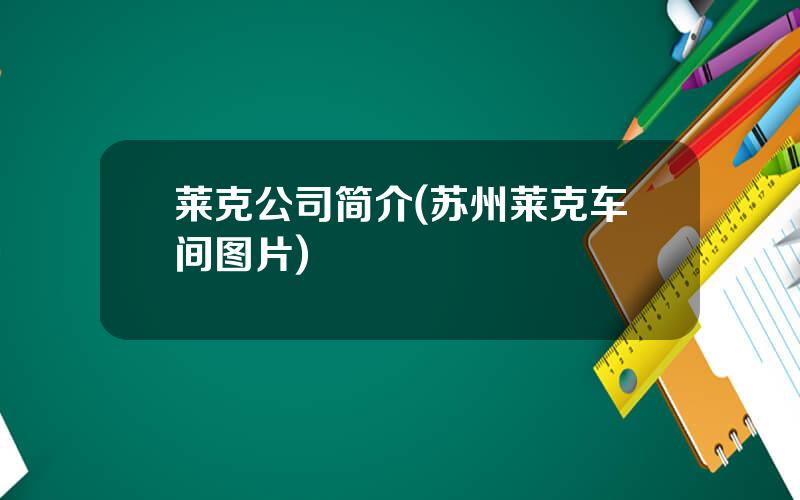 莱克公司简介(苏州莱克车间图片)