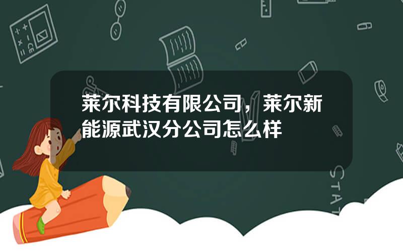 莱尔科技有限公司，莱尔新能源武汉分公司怎么样