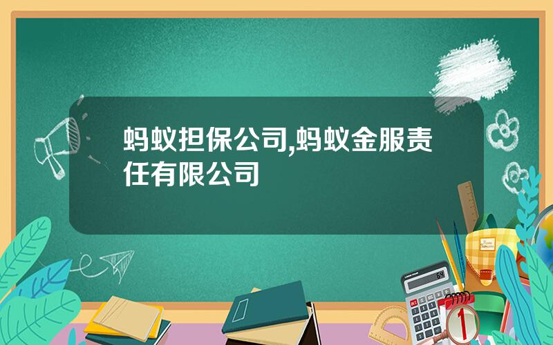 蚂蚁担保公司,蚂蚁金服责任有限公司