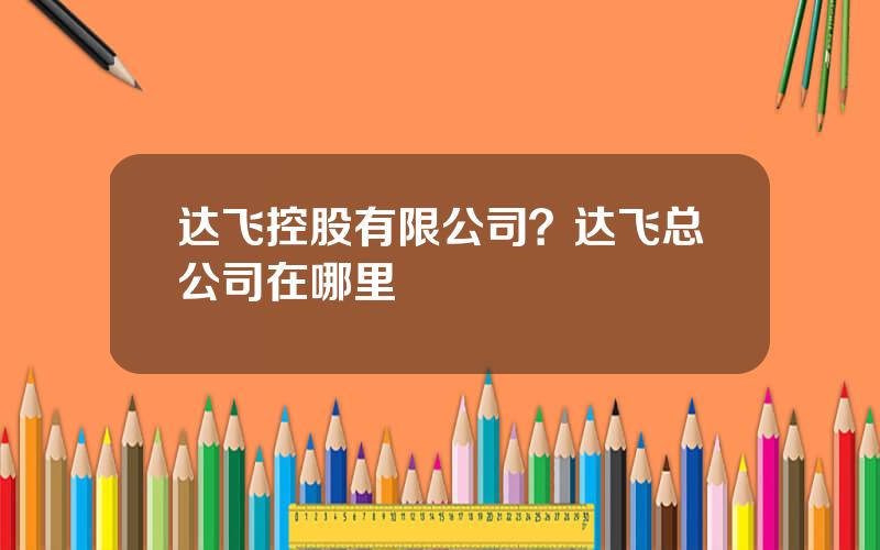 达飞控股有限公司？达飞总公司在哪里