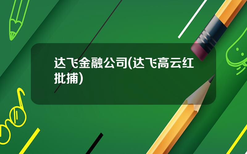 达飞金融公司(达飞高云红批捕)