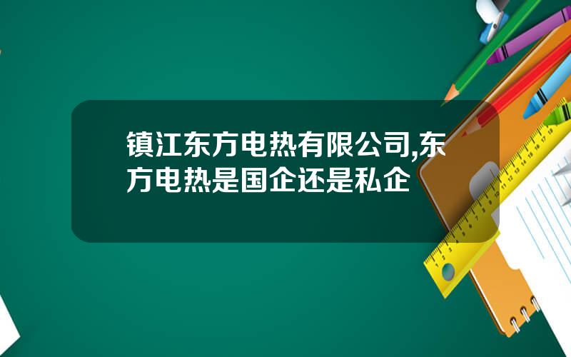 镇江东方电热有限公司,东方电热是国企还是私企
