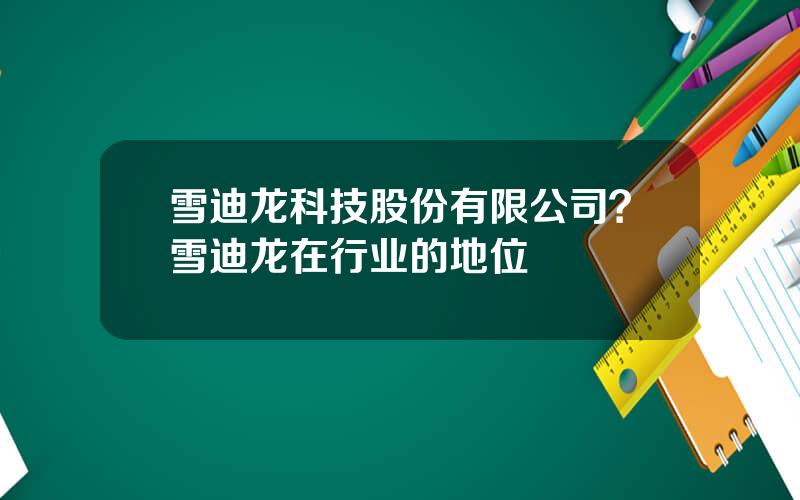 雪迪龙科技股份有限公司？雪迪龙在行业的地位